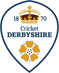 Derbyshire Falcons badge