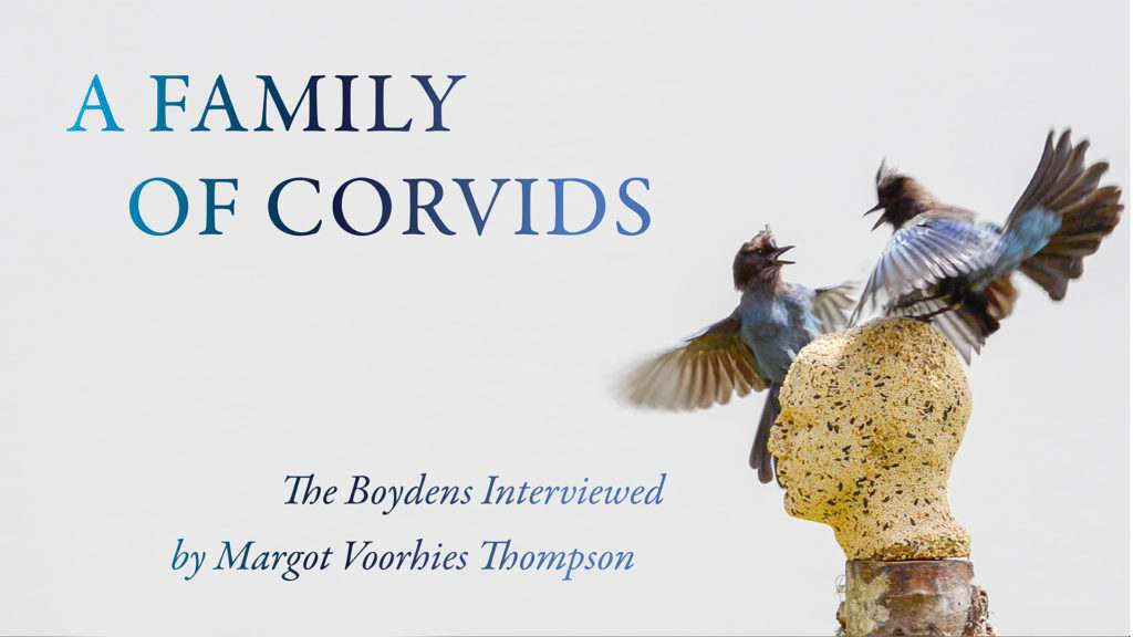 A Family of Corvids, The Boydens interviewed